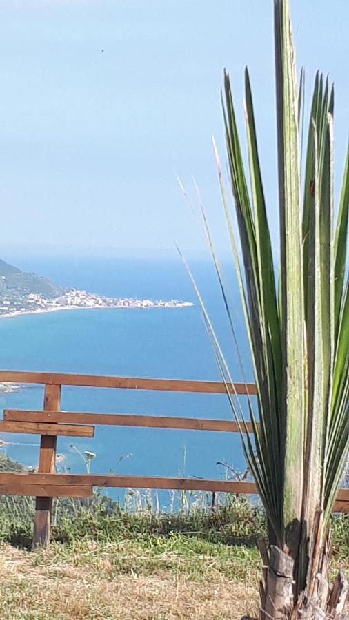 Tenuta Belvedere Cilento Montecorice Exterior foto