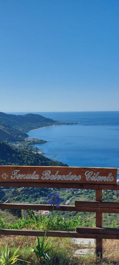Tenuta Belvedere Cilento Montecorice Exterior foto